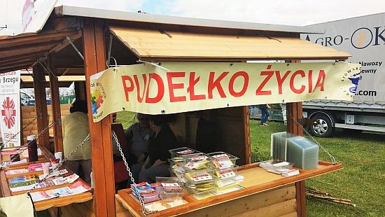 Obraz: