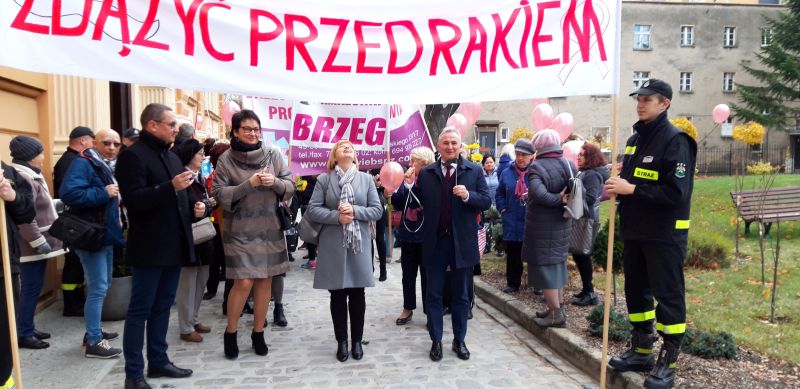 Obraz:
